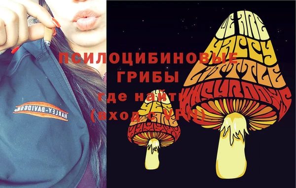 таблы Алексеевка