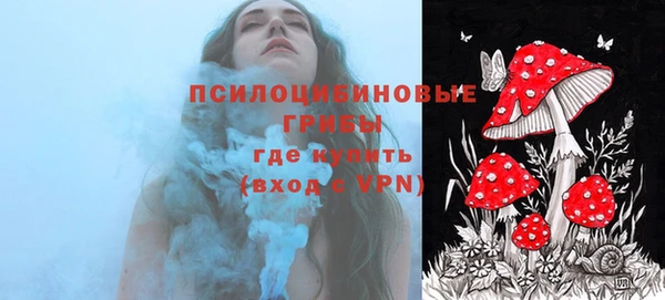 спиды Алзамай