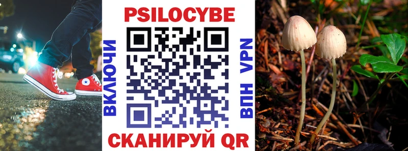 Галлюциногенные грибы Psilocybine cubensis  дарнет шоп  Закаменск 